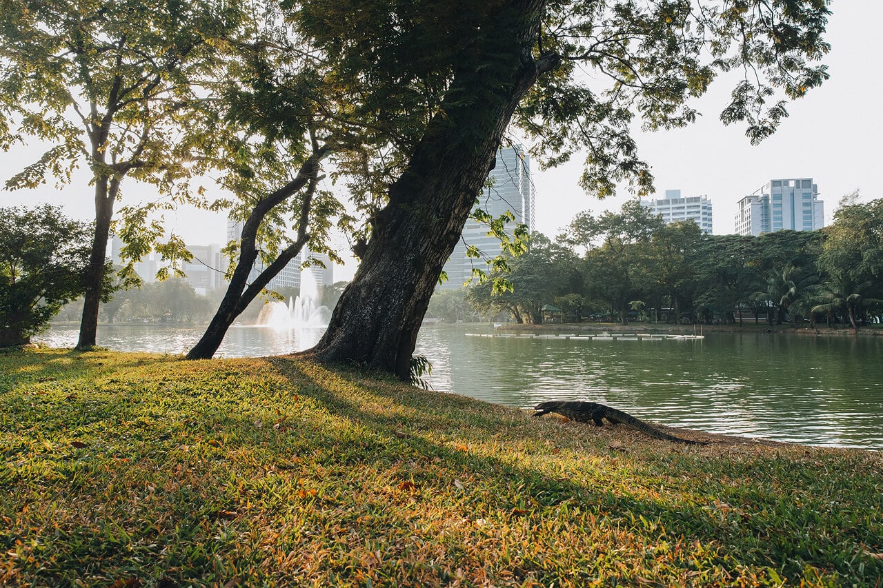 Best parks in Bangkok