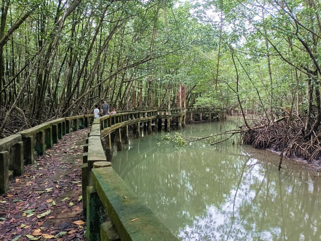 Salak Khok Mangrove Walk