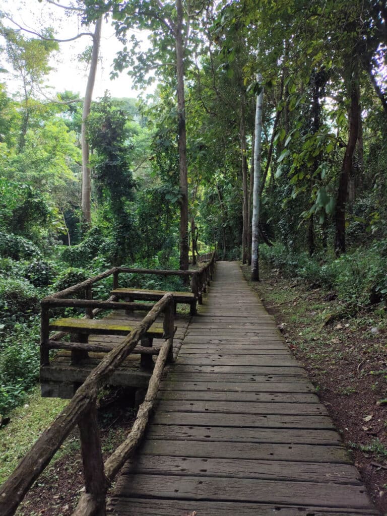 Buatong National Park