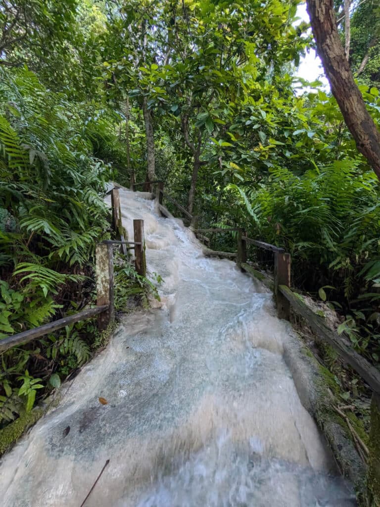 Sticky Waterfall in Chiang Mai