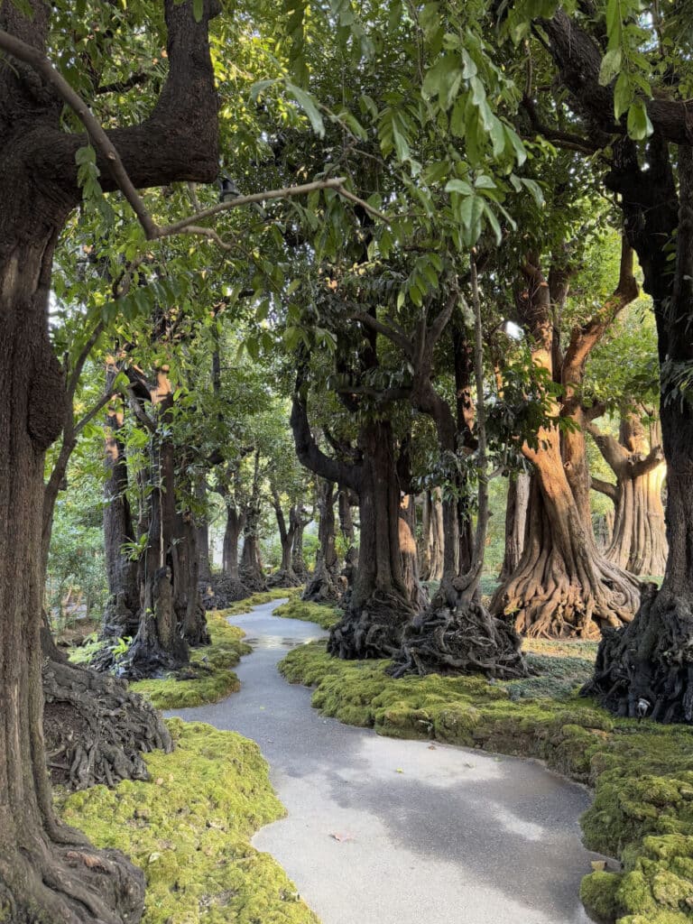 Changtong Park