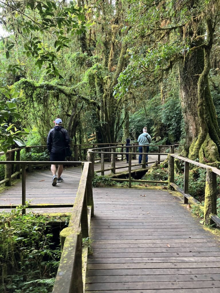 Doi Inthanon