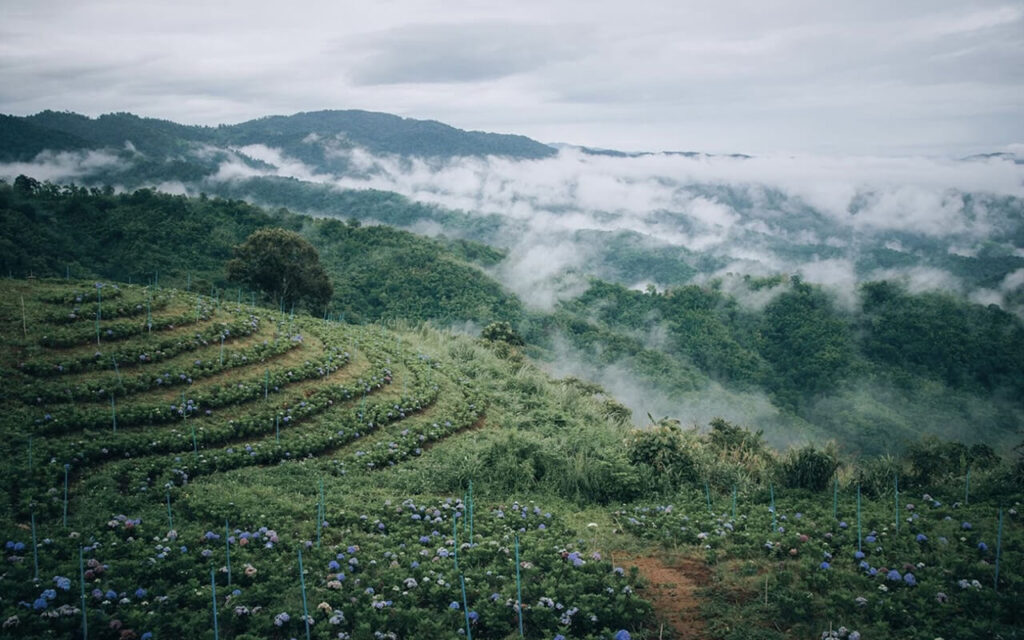 Doi Mae Mon