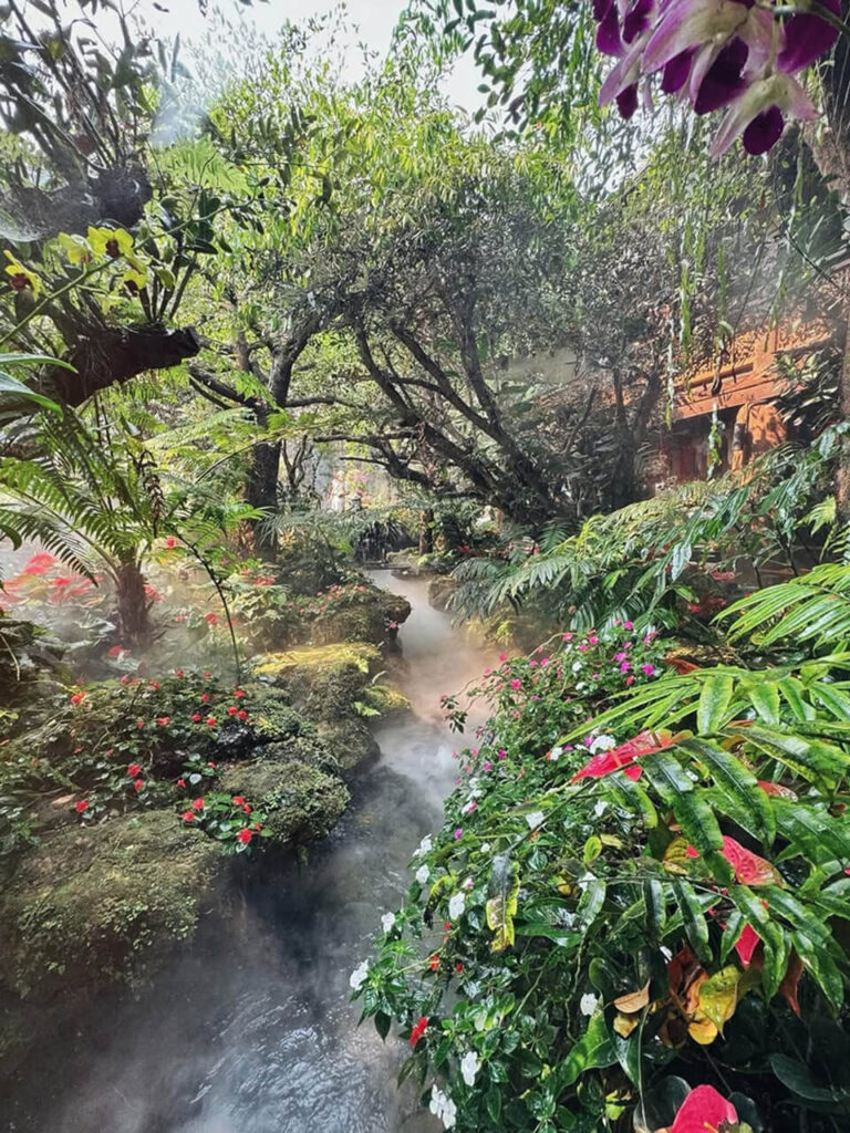 Lalitta Cafe in Chiang Rai