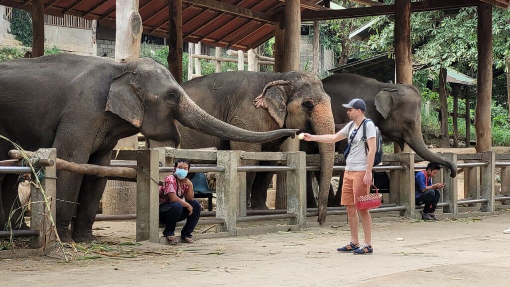 Mae Sa Elephant Camp