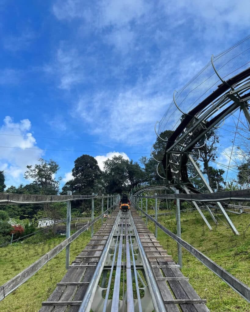 Pong Yaeng Jungle Adventure Park