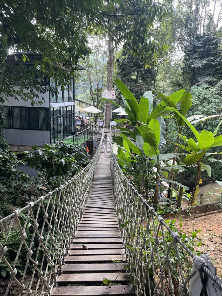 Pong Yaeng Jungle Adventure Park