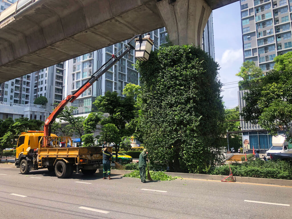 the concrete columns of the BTS Skytrain are “camouflaged” with plants