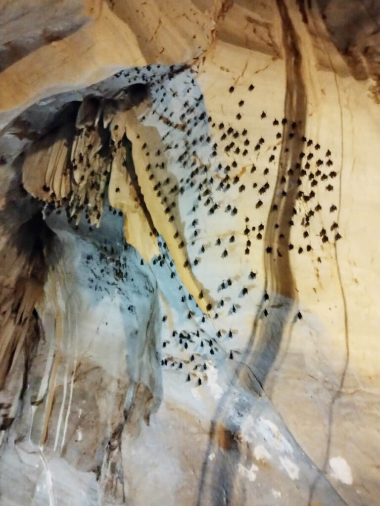 Samnaksong Tham Laplae Cave