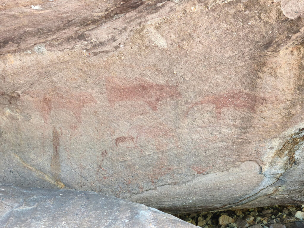 Ancient animal drawings on rock walls at Phu Phrabat Historical Park