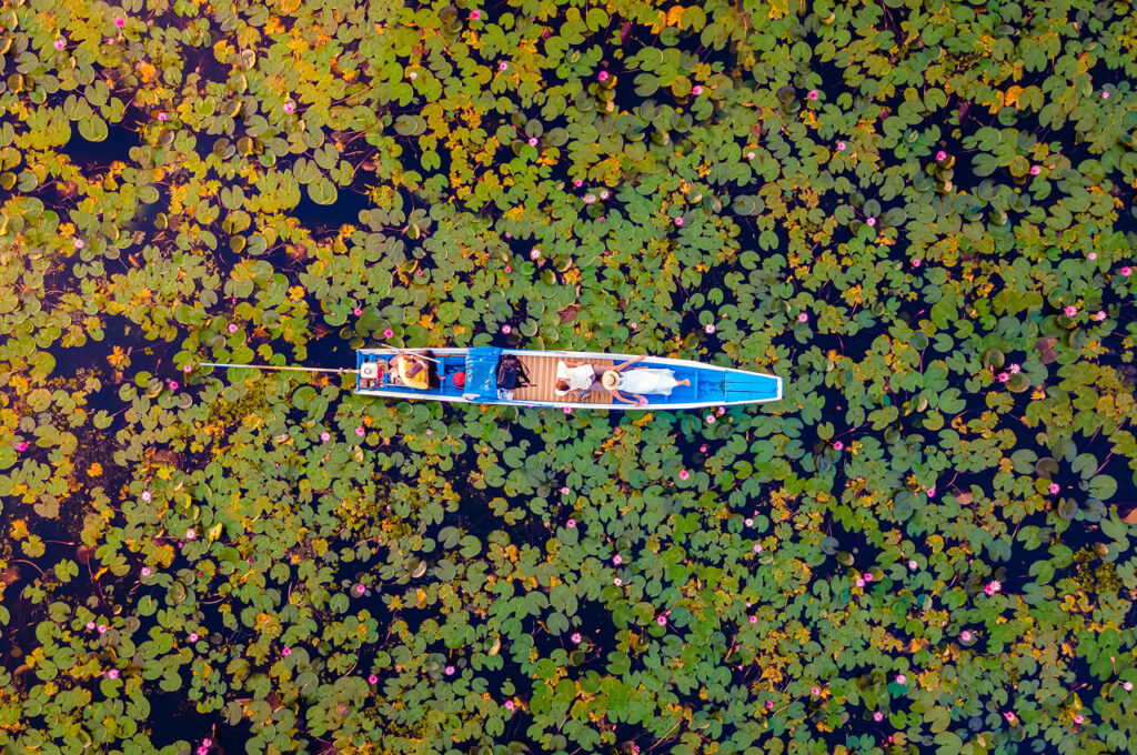 Red Lotus Lake in Udon Thani