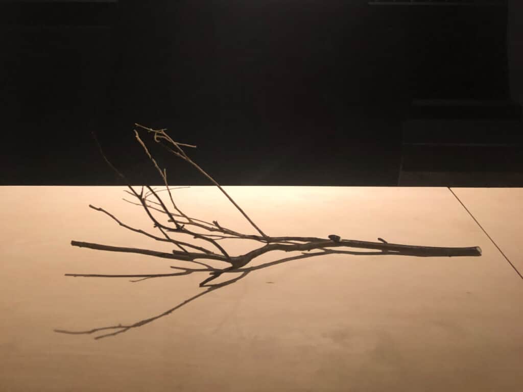 Exhibition at Siwamokkhaphiman Hall