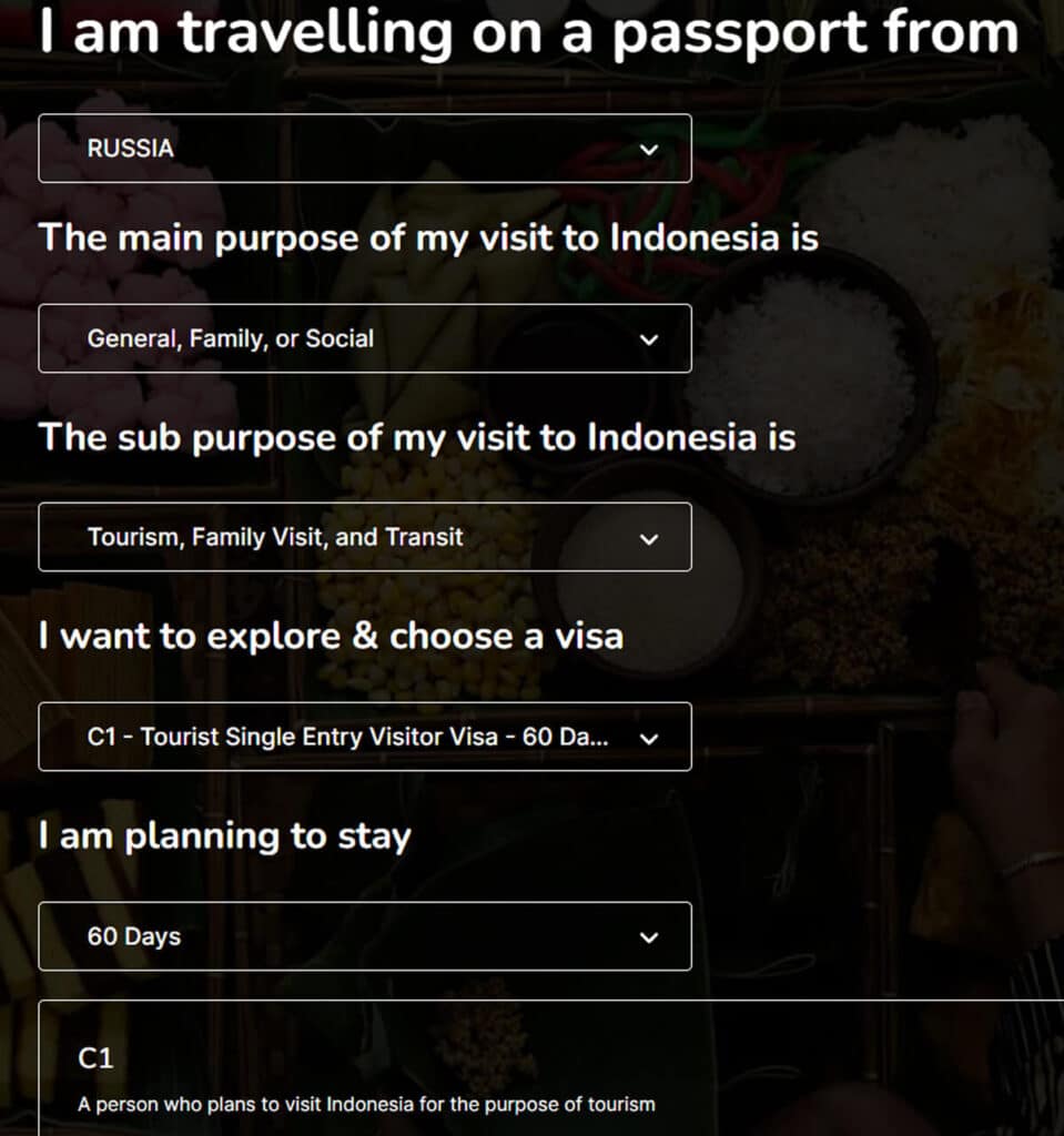 How to apply for a C1 visa for Indonesia online