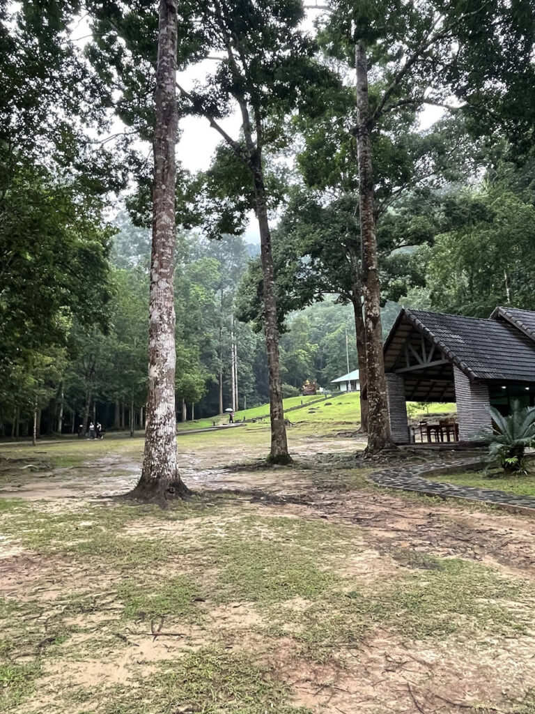 Khao Phanom Bencha National Park