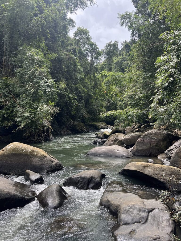 Jungle Trekking in Khao Sok