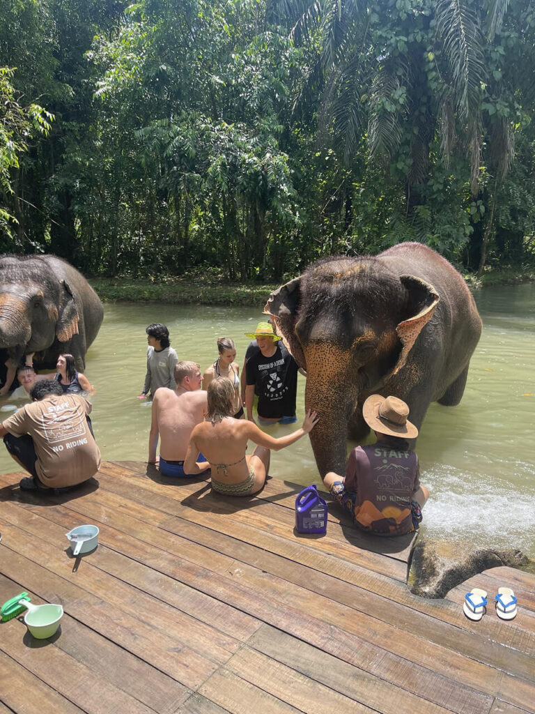 Bathing at Krabi Elephant Sanctuary