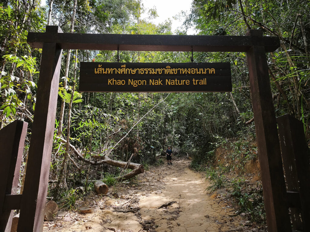 Ngon Nak Hiking Trail (Dragon Crest)