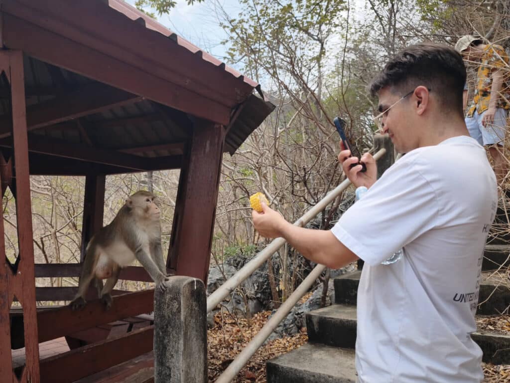 Feeding monkeys with corn at Hin Khao Ngu Park