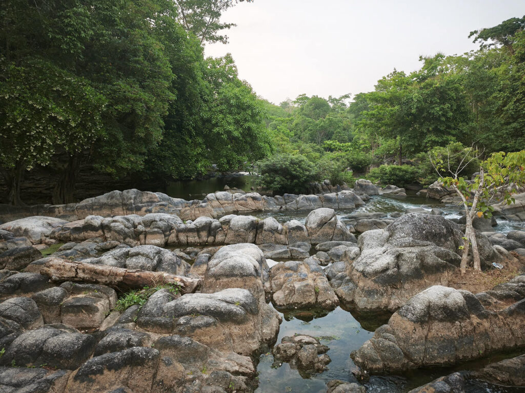 Kaeng Som Maew Queen Sirikit Forest Park