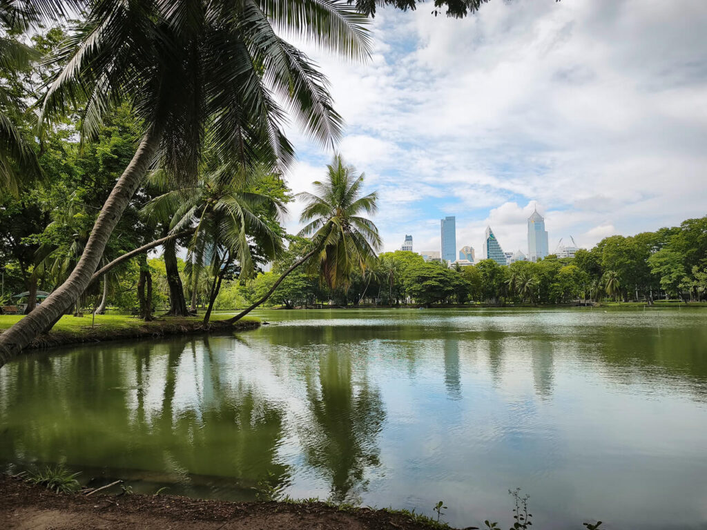 Lake and palm trees in Lumphini Park