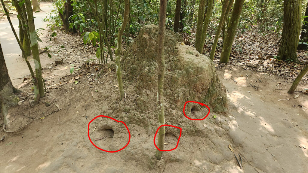 Ventilation Holes at the Cu Chi Tunnels